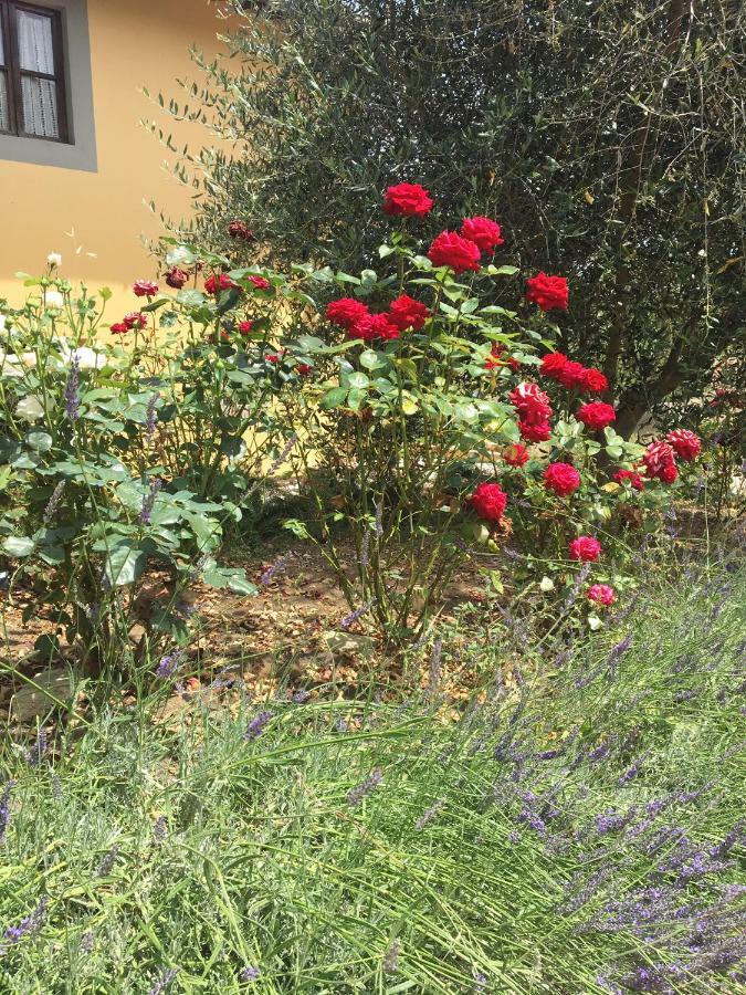 Casa Della Ciri Apartman Firenze Kültér fotó